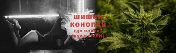 СК Богородицк