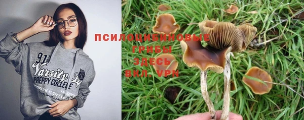 СК Богородицк