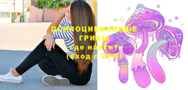 Альфа ПВП Богородск