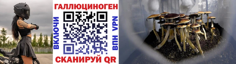 Галлюциногенные грибы мицелий Купить Валдай