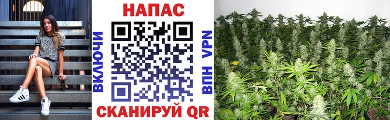 Конопля VHQ Купить где Валдай
